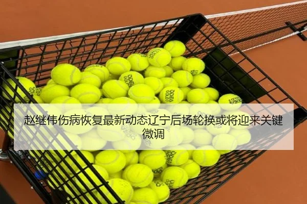 赵继伟伤病恢复最新动态辽宁后场轮换或将迎来关键微调